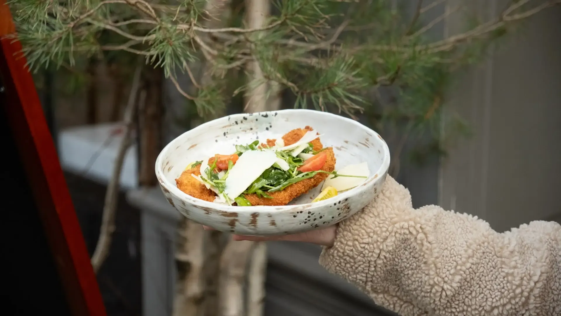 Assiette dressée, saumon et légumes de saison